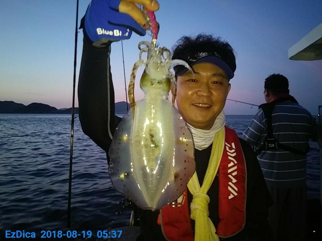 낚시뚜,무늬오징어,통영미수동방파제,통영명인낚시,낚시뚜1