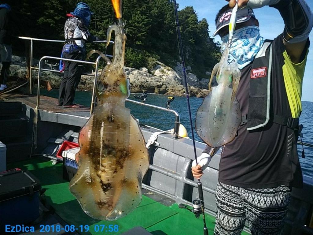 낚시뚜,무늬오징어,통영미수동방파제,통영명인낚시,낚시뚜5