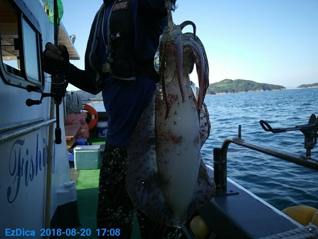 낚시뚜,무늬오징어,통영미수동방파제,통영명인낚시,낚시뚜5