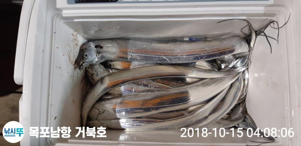 갈치, 목포 거북호, 낚시뚜