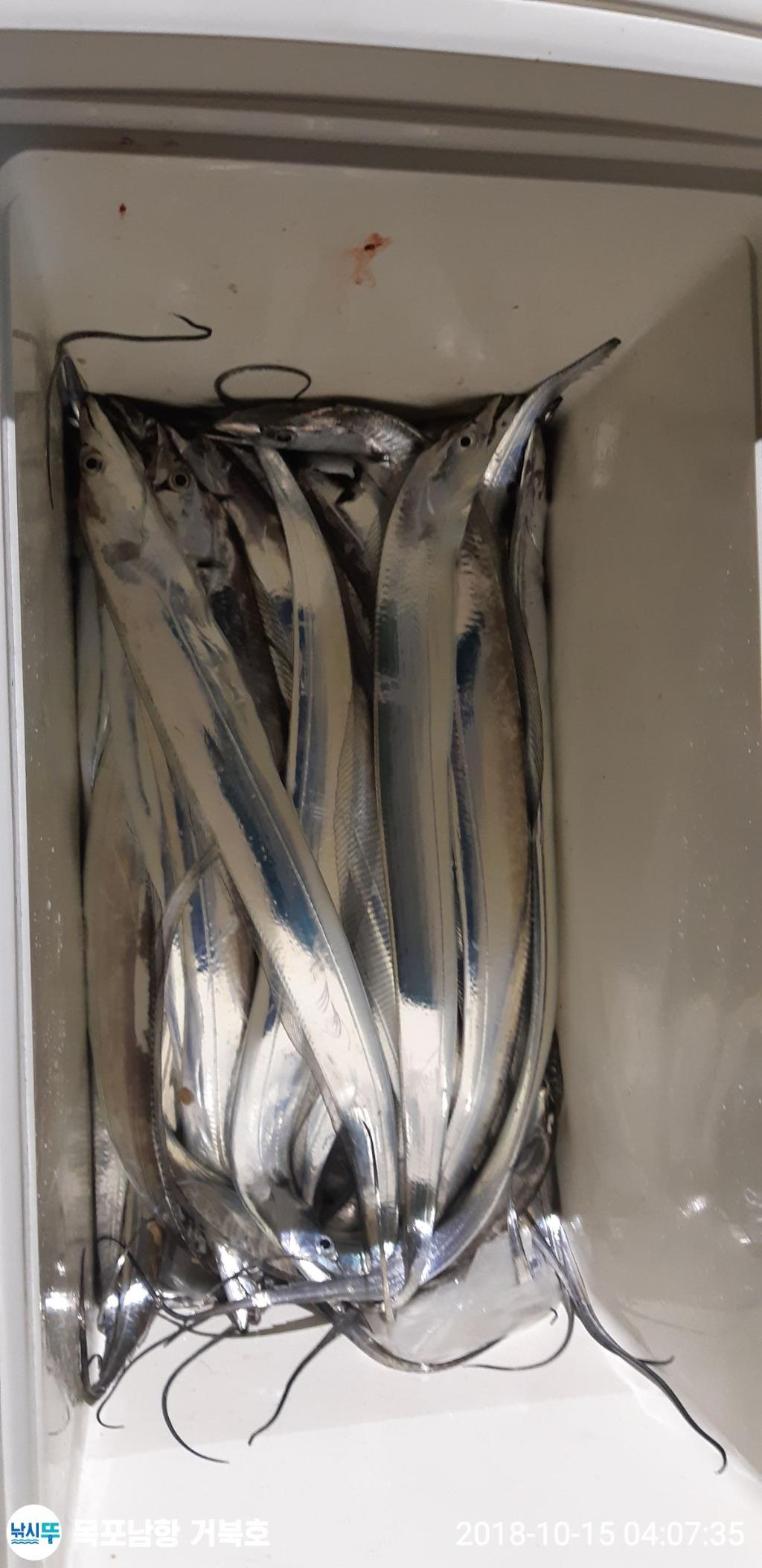 갈치, 목포 거북호, 낚시뚜