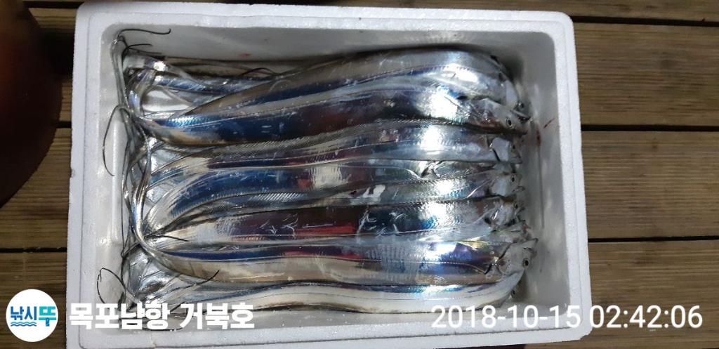 갈치, 목포 거북호, 낚시뚜