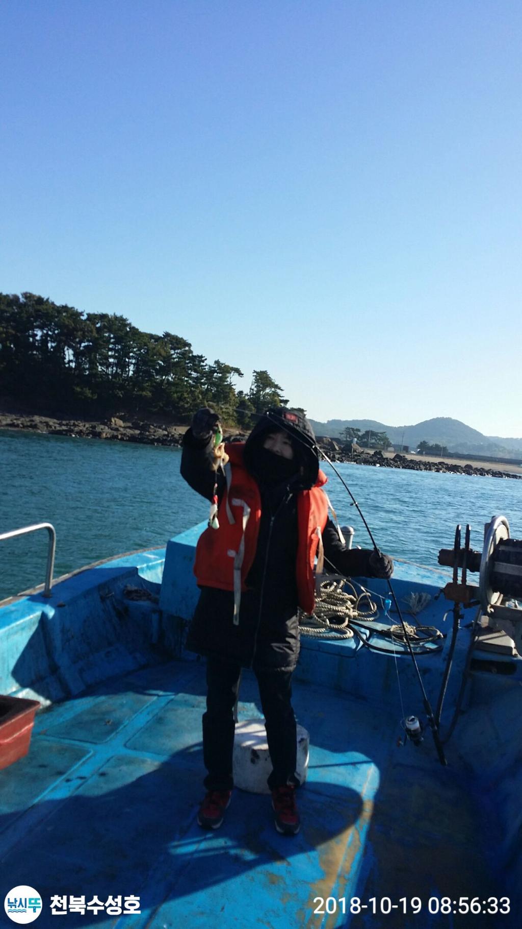 낚시뚜,갑오징어,쭈꾸미,천북학성선착장,천북 수성호,낚시뚜1
