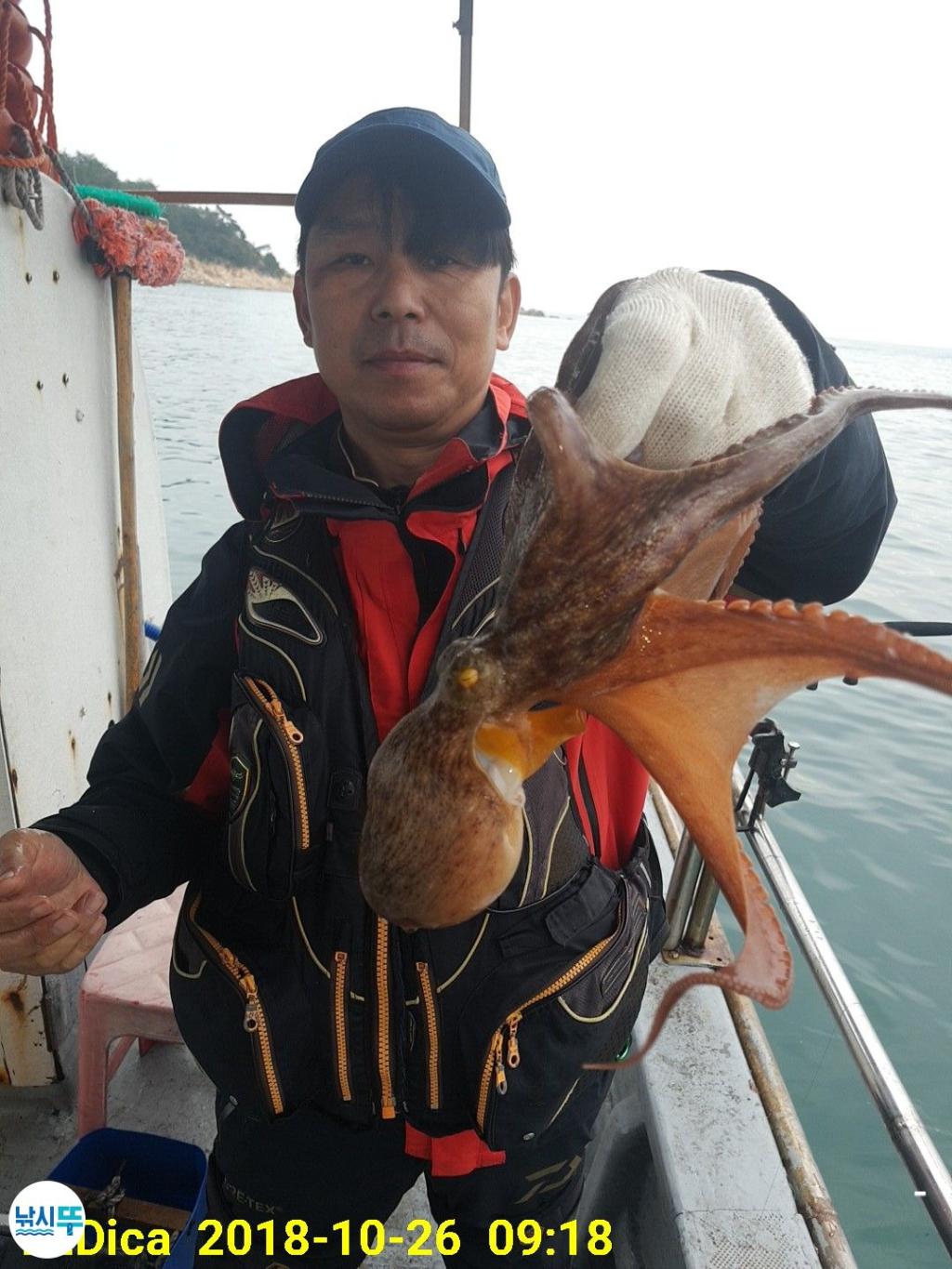 낚시뚜,돌문어,진해 안골항,제일호,낚시뚜2