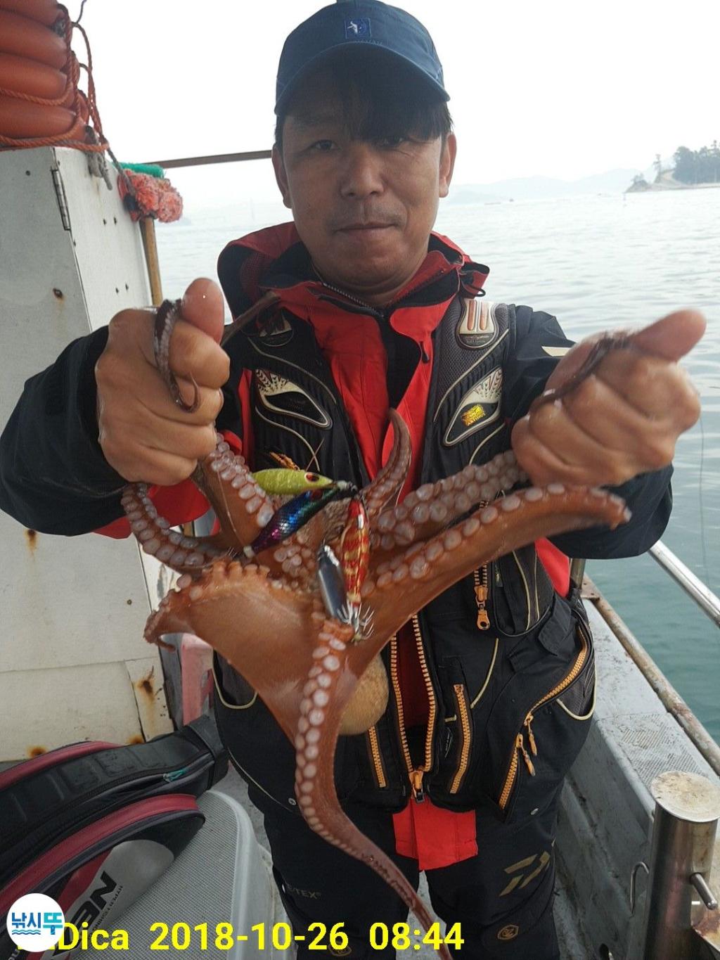 낚시뚜,돌문어,진해 안골항,제일호,낚시뚜1