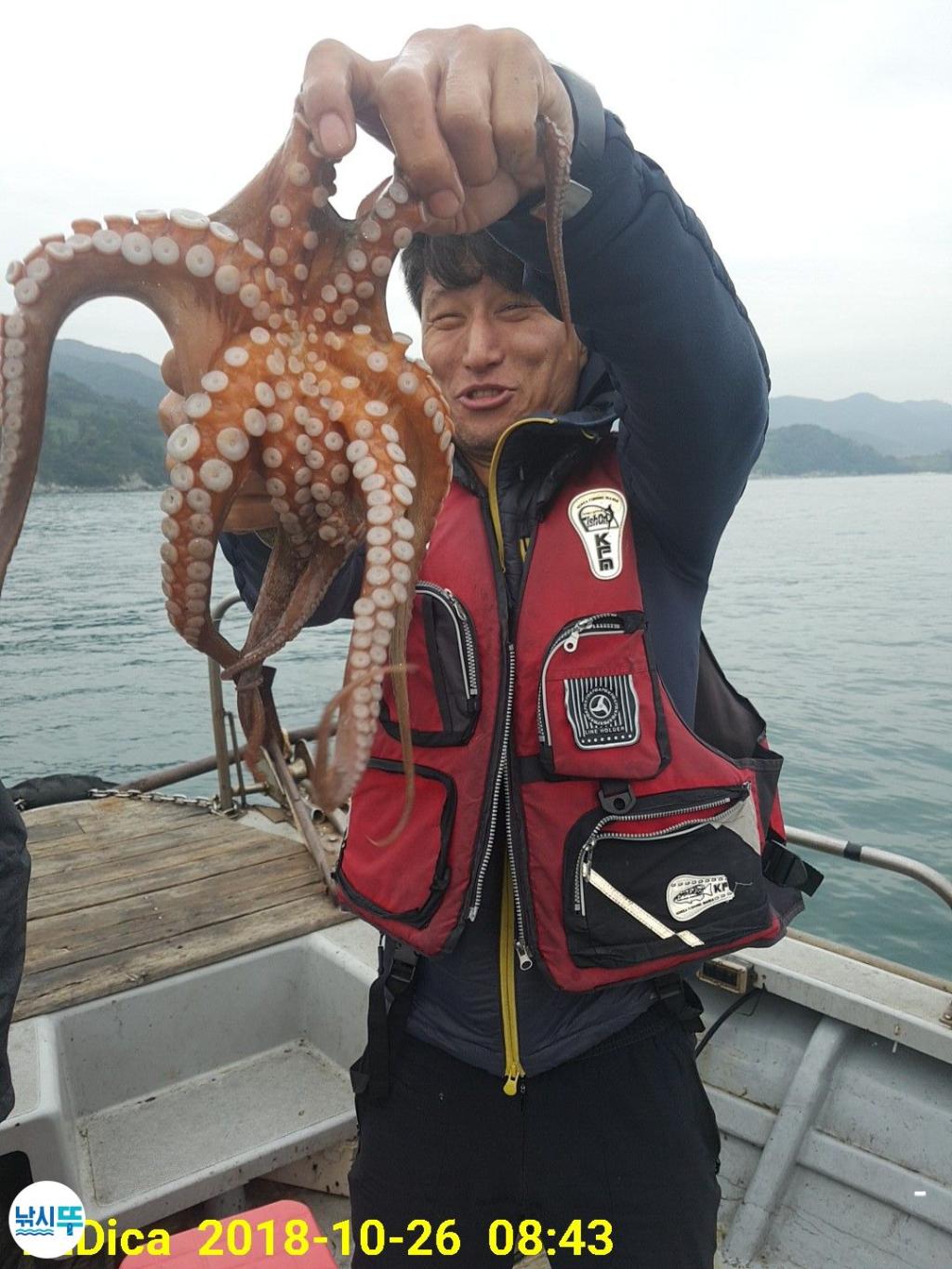 낚시뚜,돌문어,진해 안골항,제일호,낚시뚜0