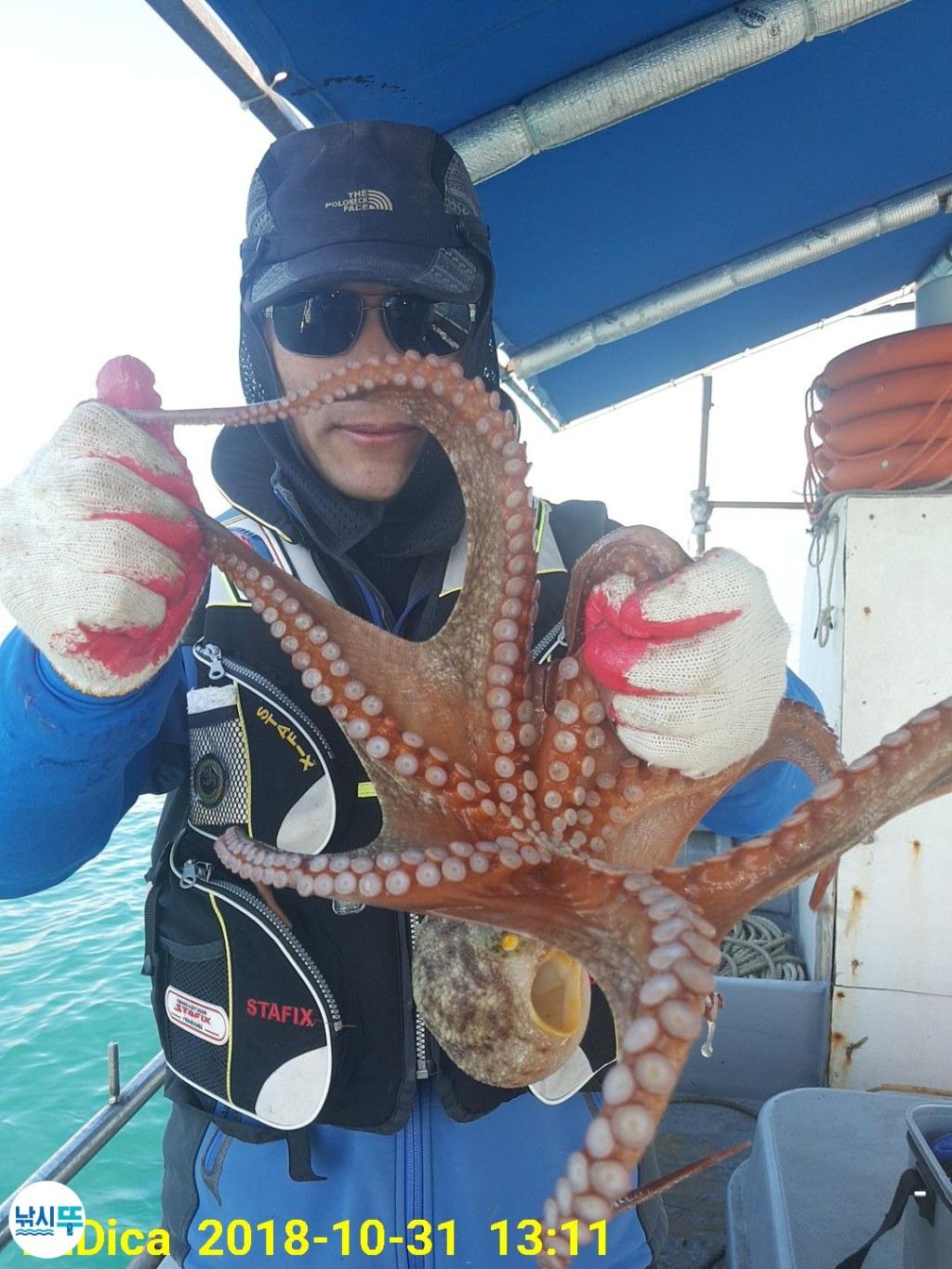 낚시뚜,돌문어,진해 안골항,제일호,낚시뚜8