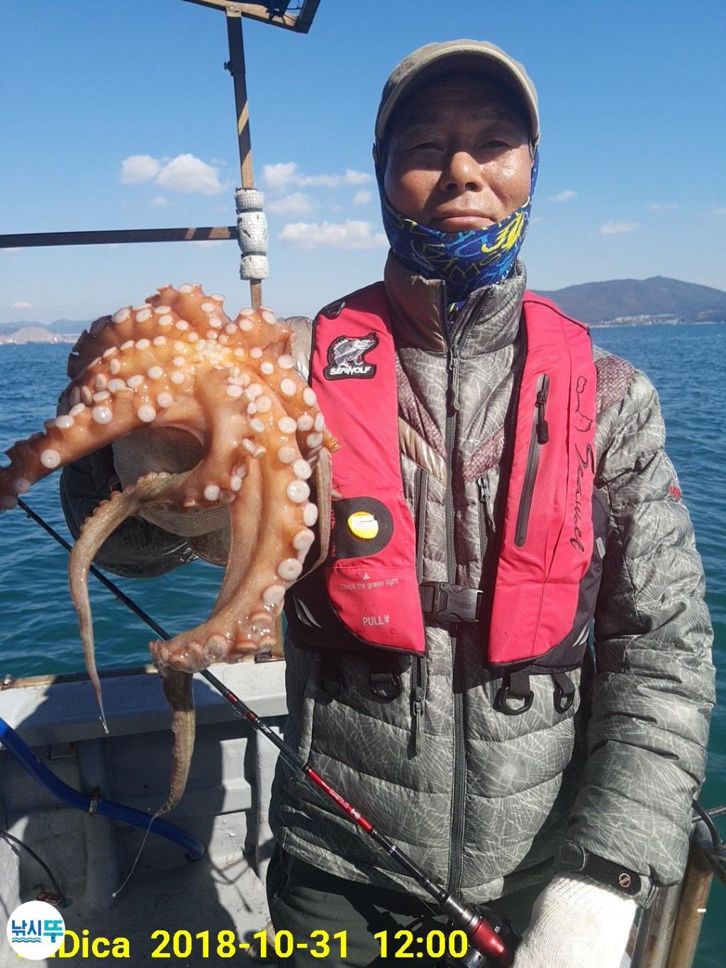 낚시뚜,돌문어,진해 안골항,제일호,낚시뚜7