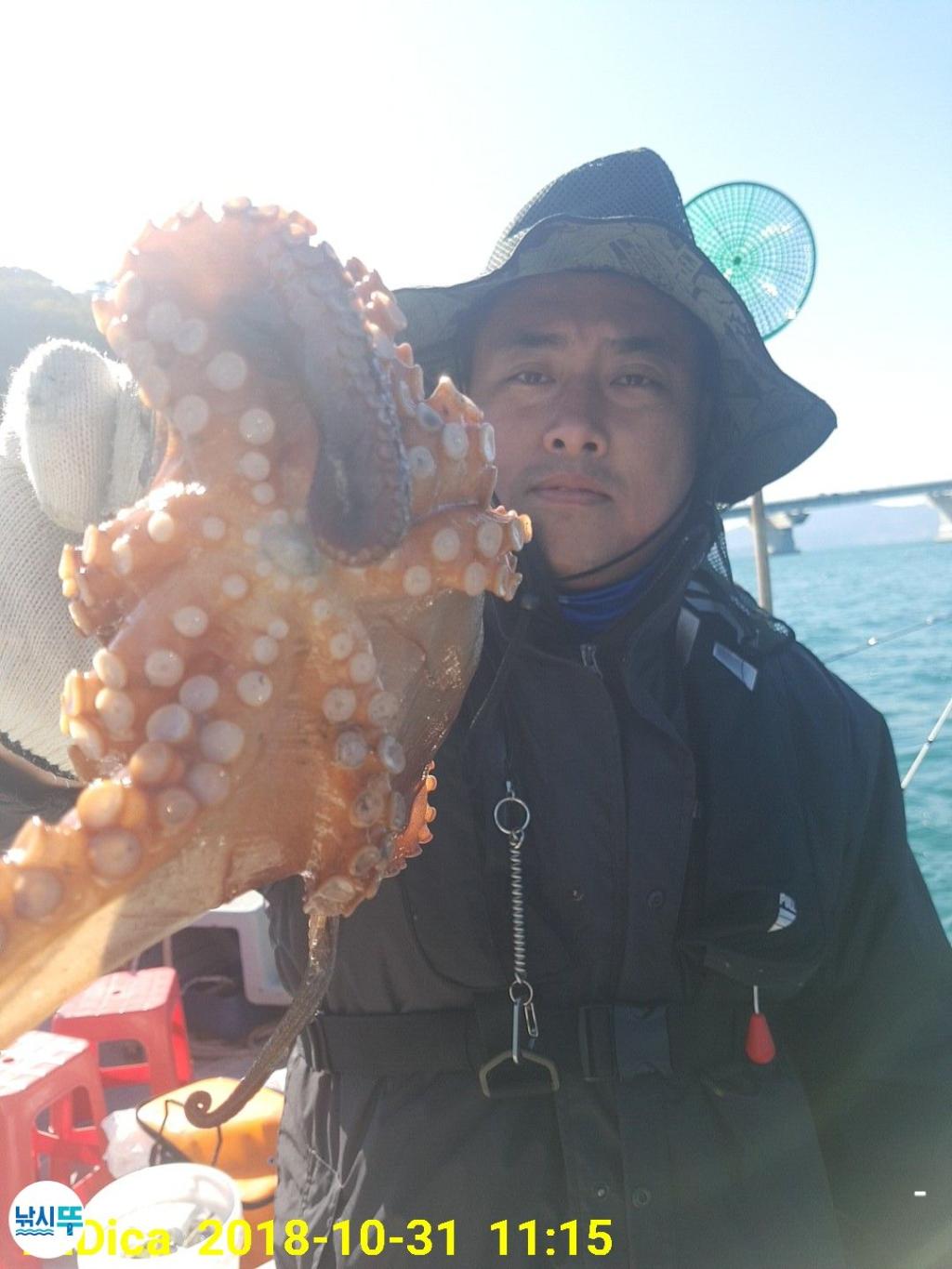 낚시뚜,돌문어,진해 안골항,제일호,낚시뚜6