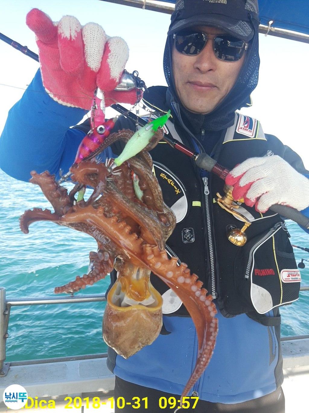 낚시뚜,돌문어,진해 안골항,제일호,낚시뚜5
