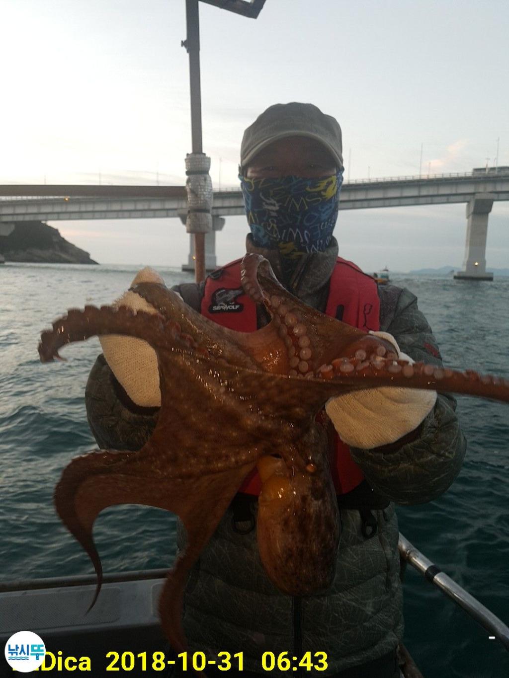 낚시뚜,돌문어,진해 안골항,제일호,낚시뚜0