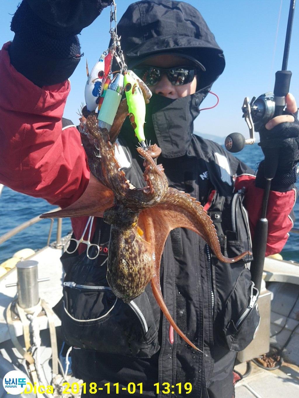 낚시뚜,돌문어,진해 안골항,제일호,낚시뚜1