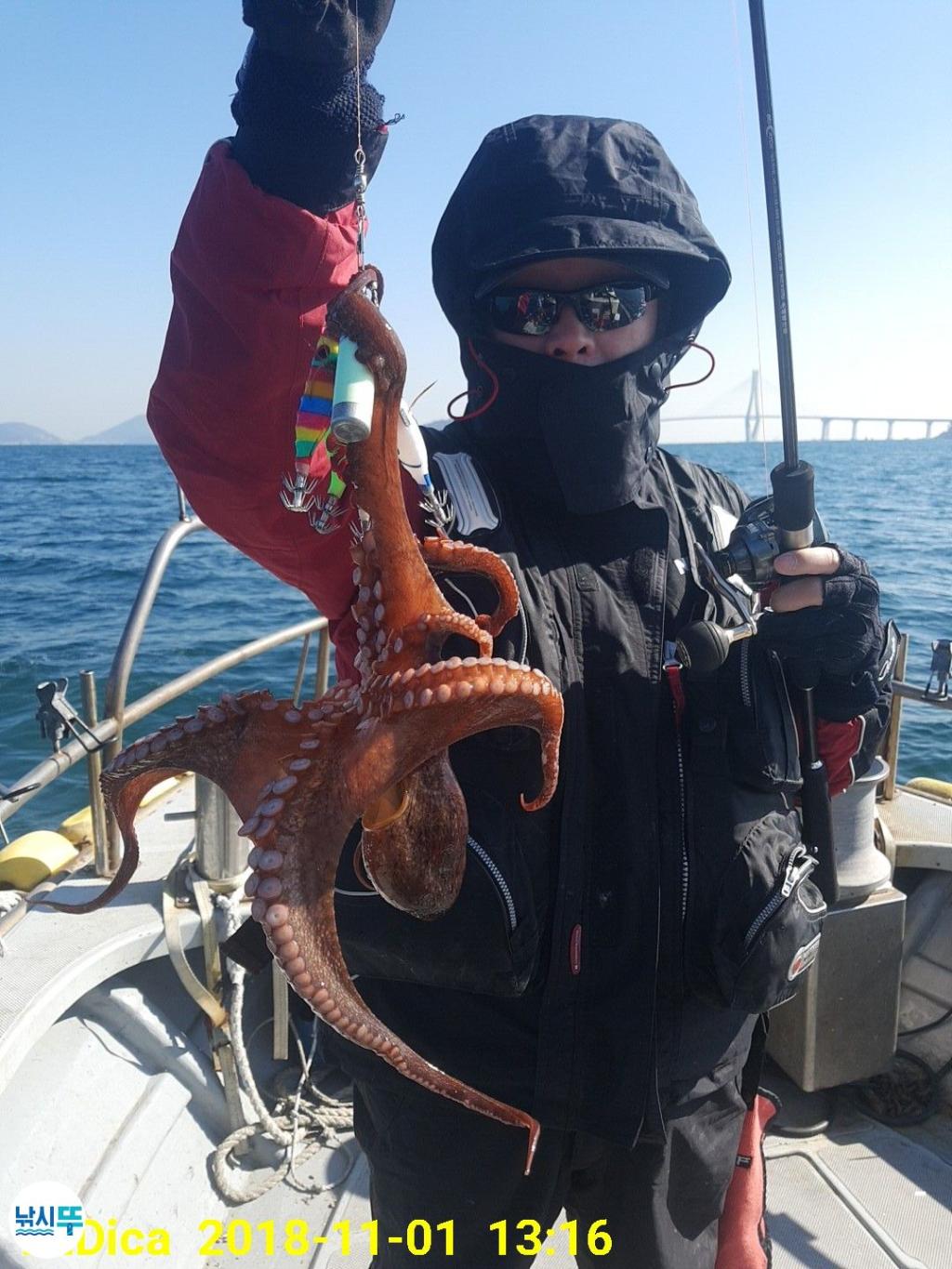 낚시뚜,돌문어,진해 안골항,제일호,낚시뚜0