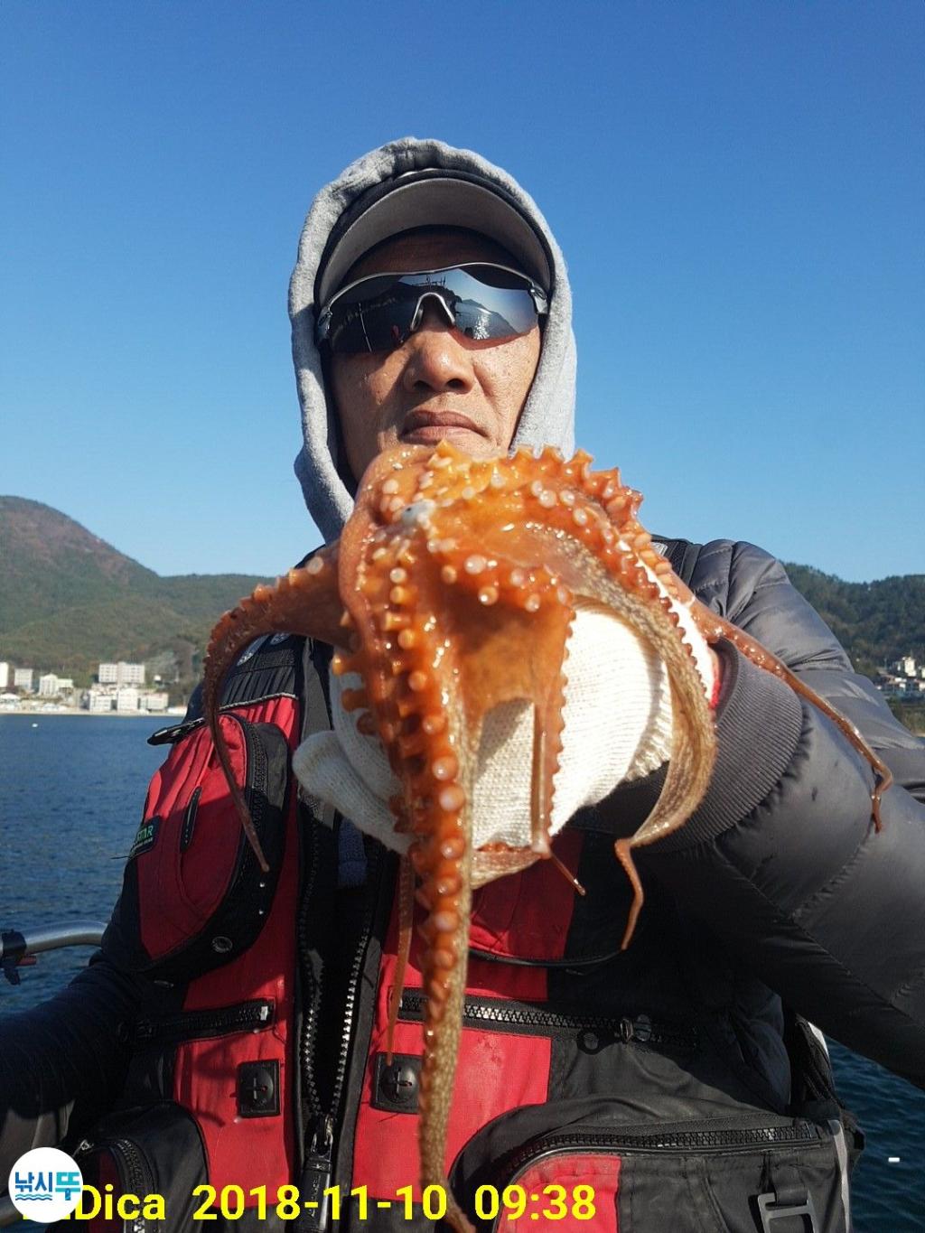 낚시뚜,돌문어,진해 안골항,제일호,낚시뚜9