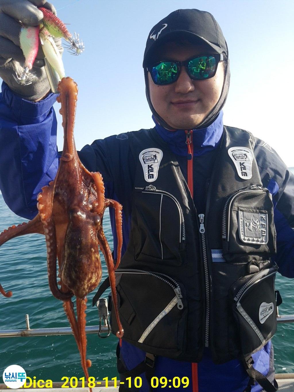 낚시뚜,돌문어,진해 안골항,제일호,낚시뚜7