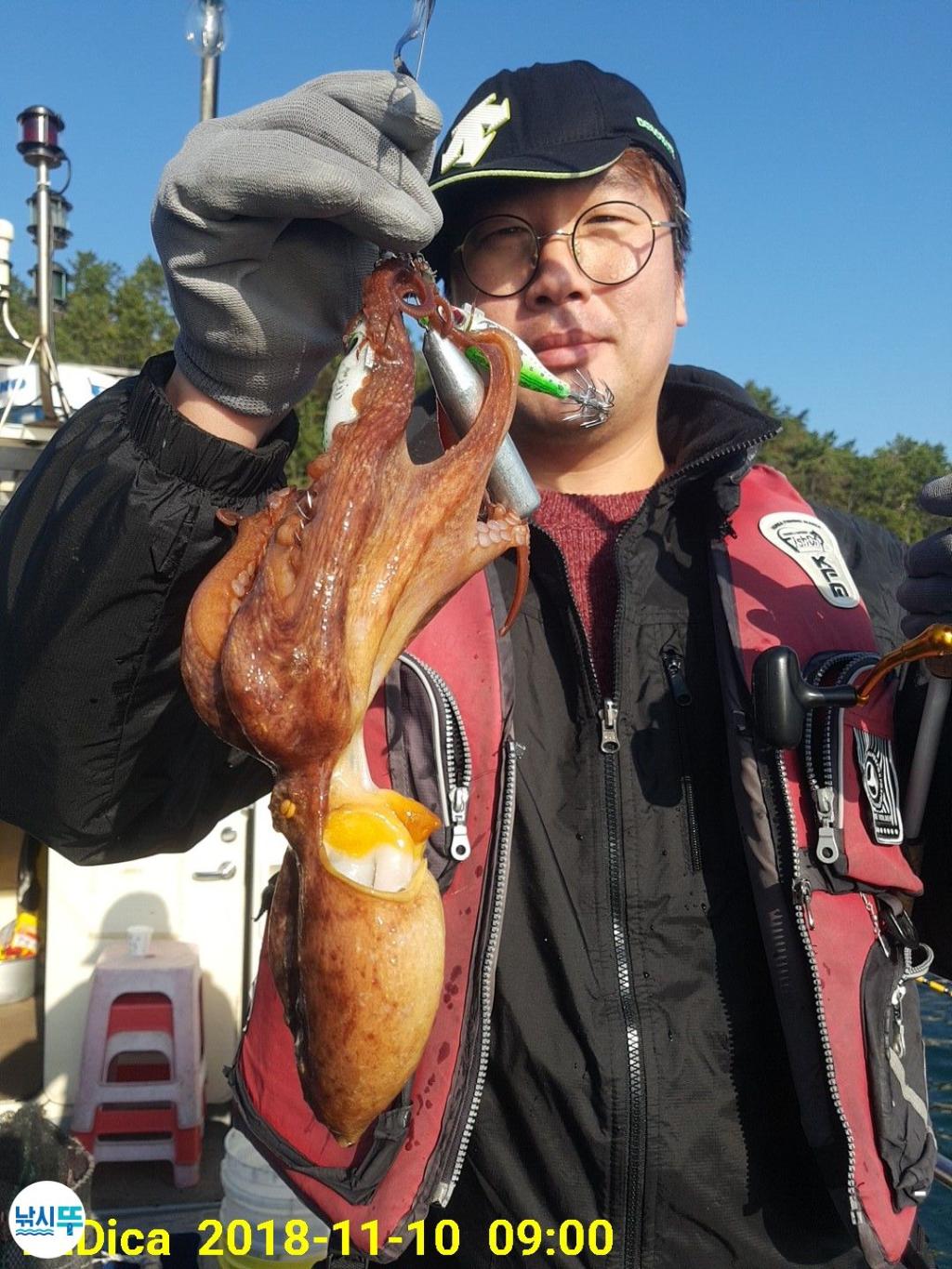 낚시뚜,돌문어,진해 안골항,제일호,낚시뚜6