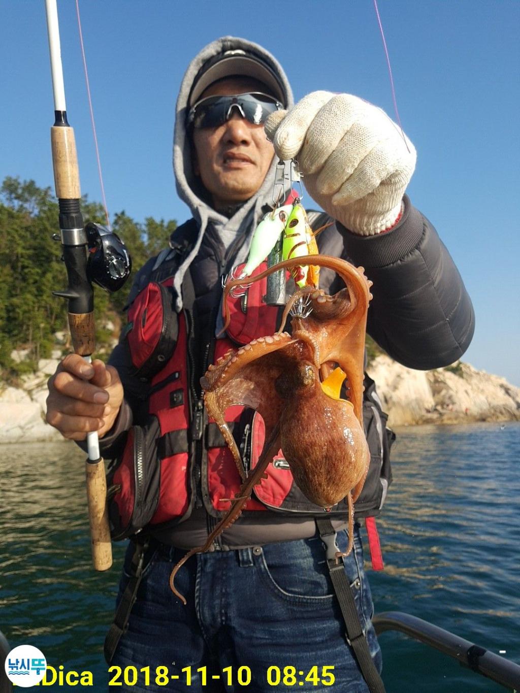 낚시뚜,돌문어,진해 안골항,제일호,낚시뚜5