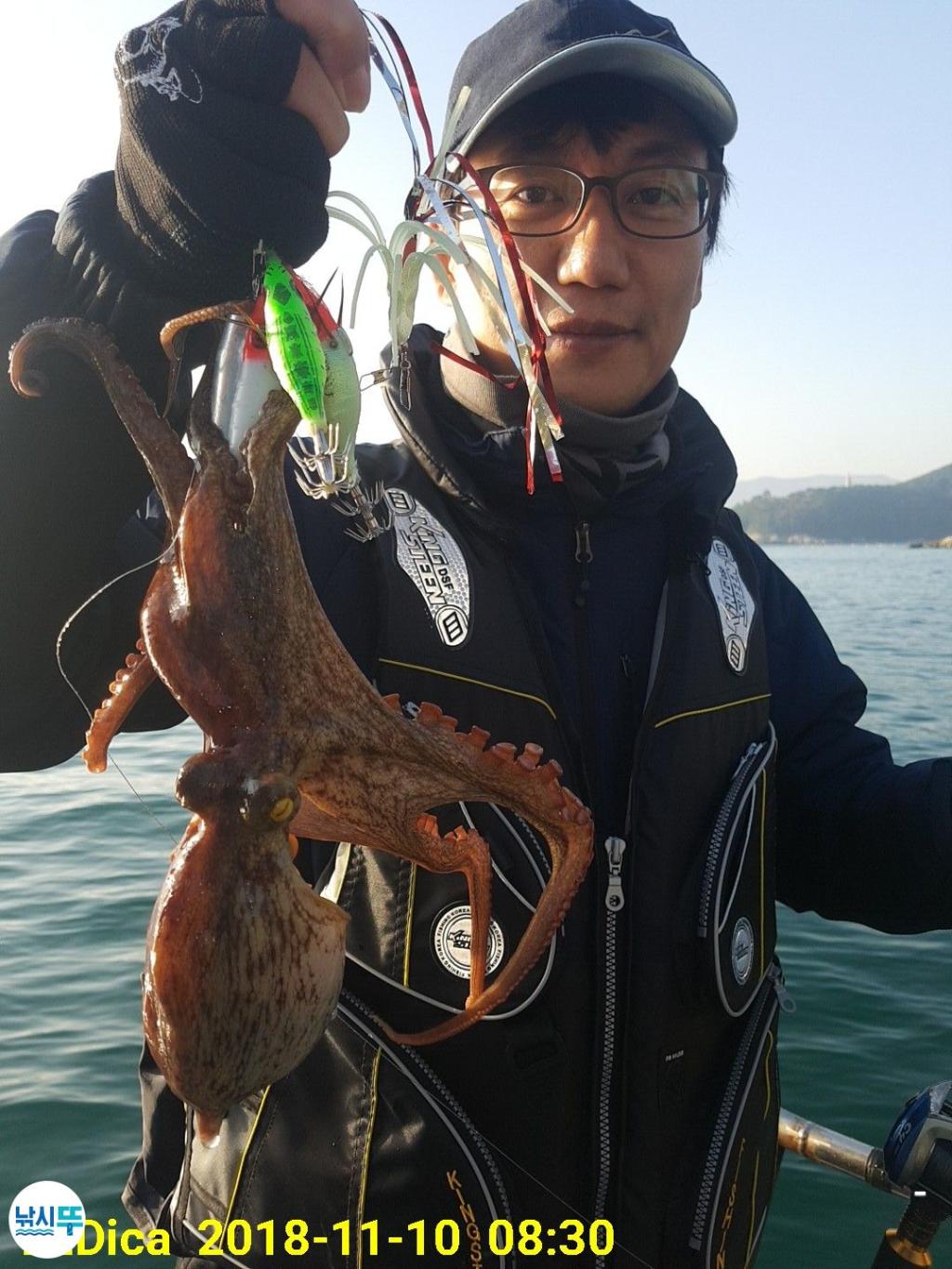 낚시뚜,돌문어,진해 안골항,제일호,낚시뚜4