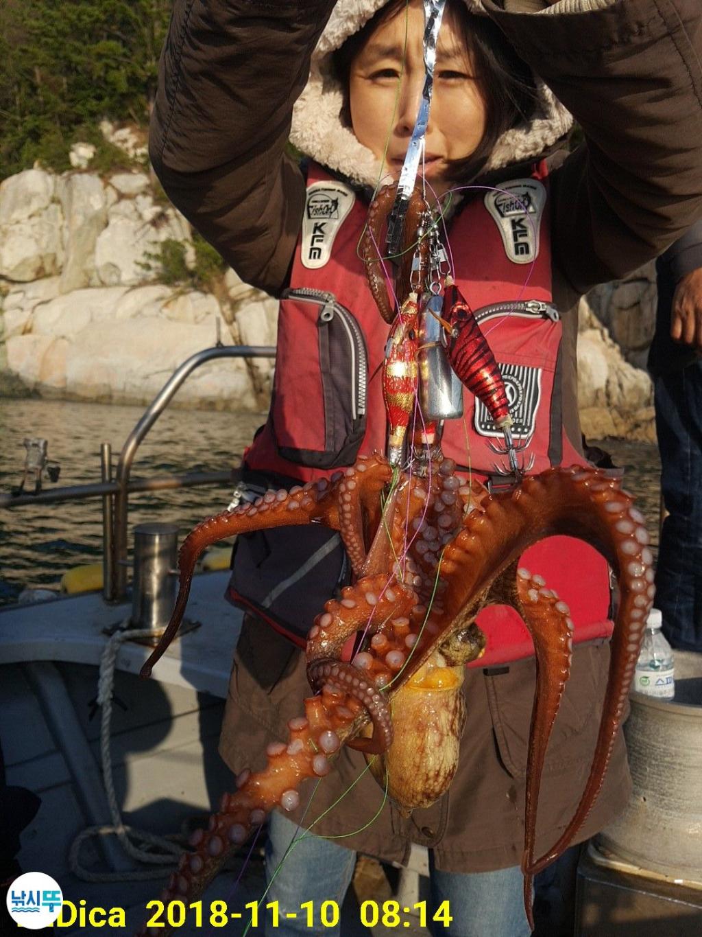 낚시뚜,돌문어,진해 안골항,제일호,낚시뚜3