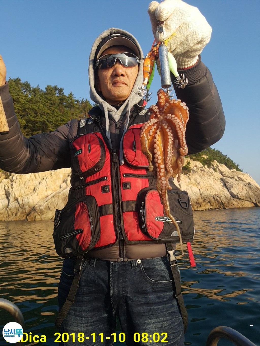 낚시뚜,돌문어,진해 안골항,제일호,낚시뚜2