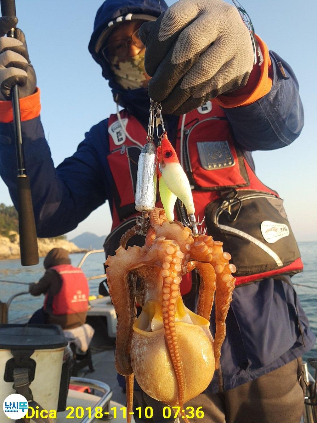 낚시뚜,돌문어,진해 안골항,제일호,낚시뚜0