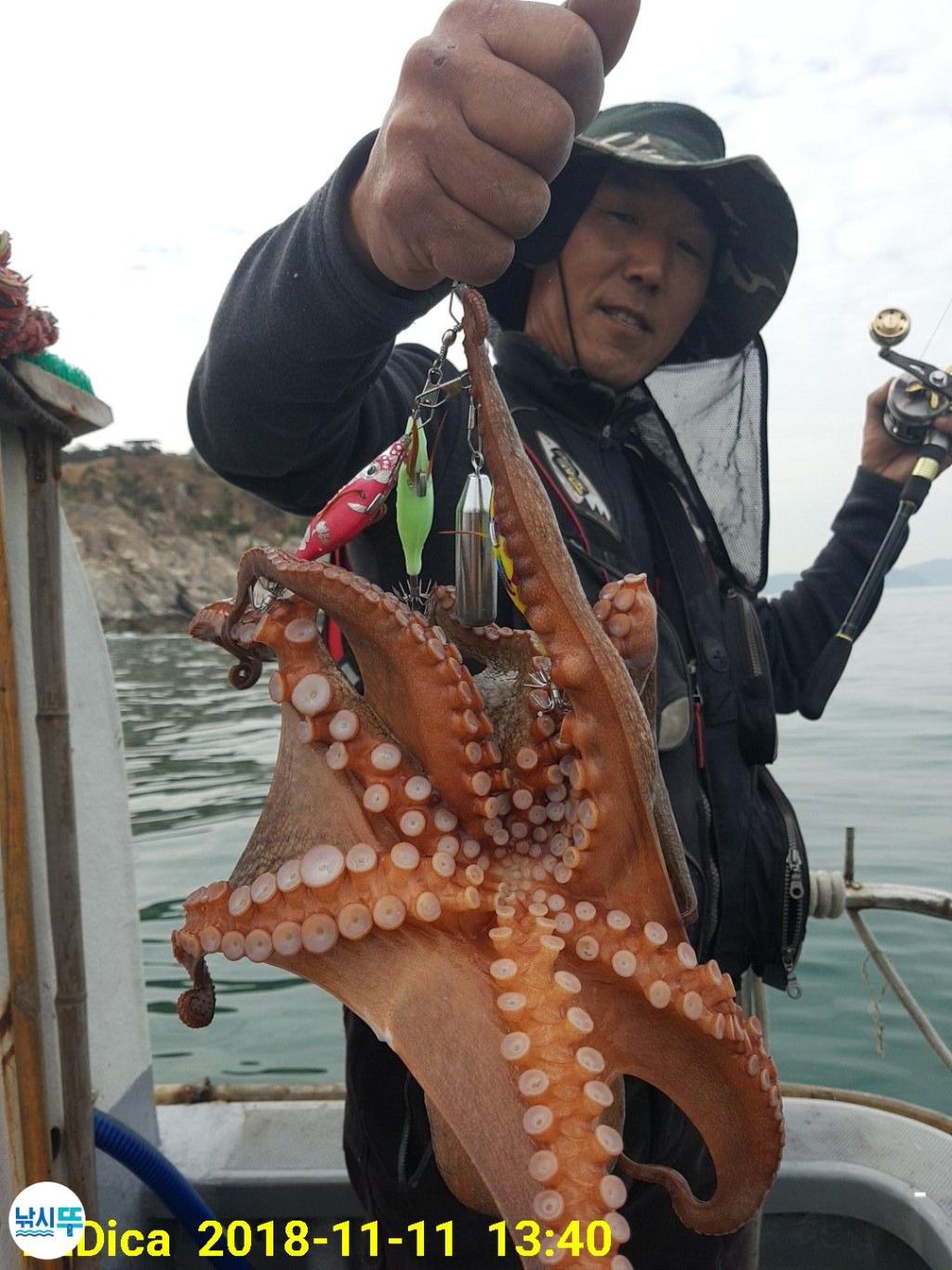 낚시뚜,돌문어,진해 안골항,제일호,낚시뚜9