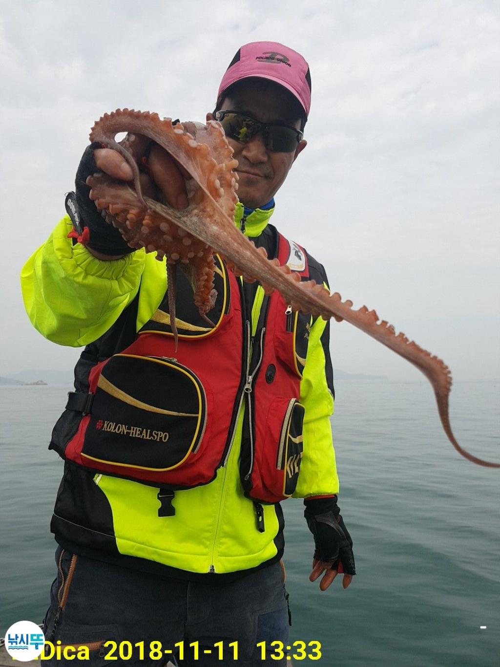 낚시뚜,돌문어,진해 안골항,제일호,낚시뚜7