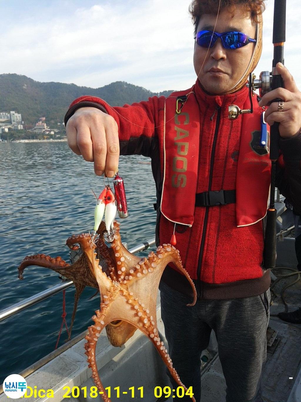 낚시뚜,돌문어,진해 안골항,제일호,낚시뚜5