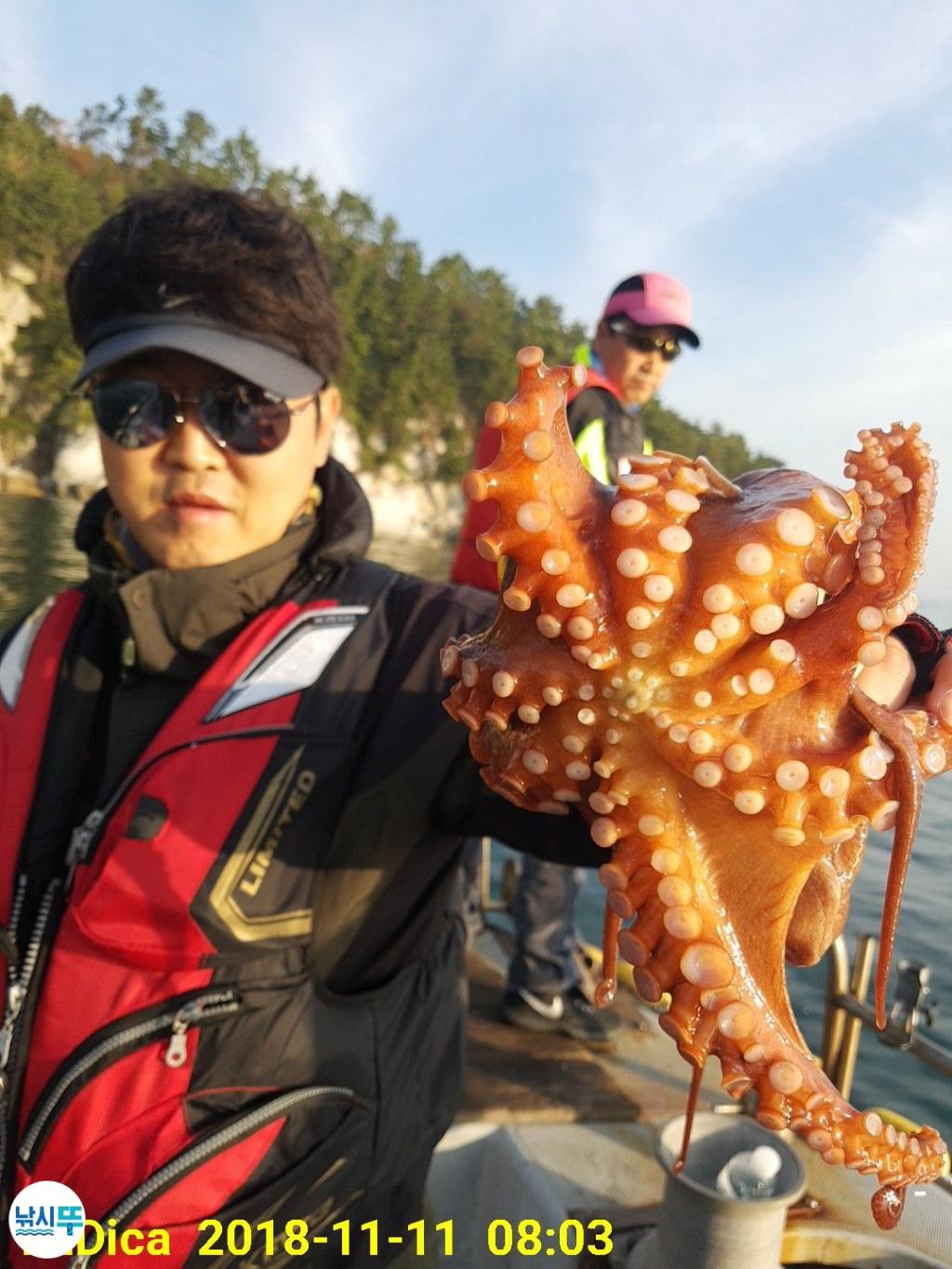 낚시뚜,돌문어,진해 안골항,제일호,낚시뚜4