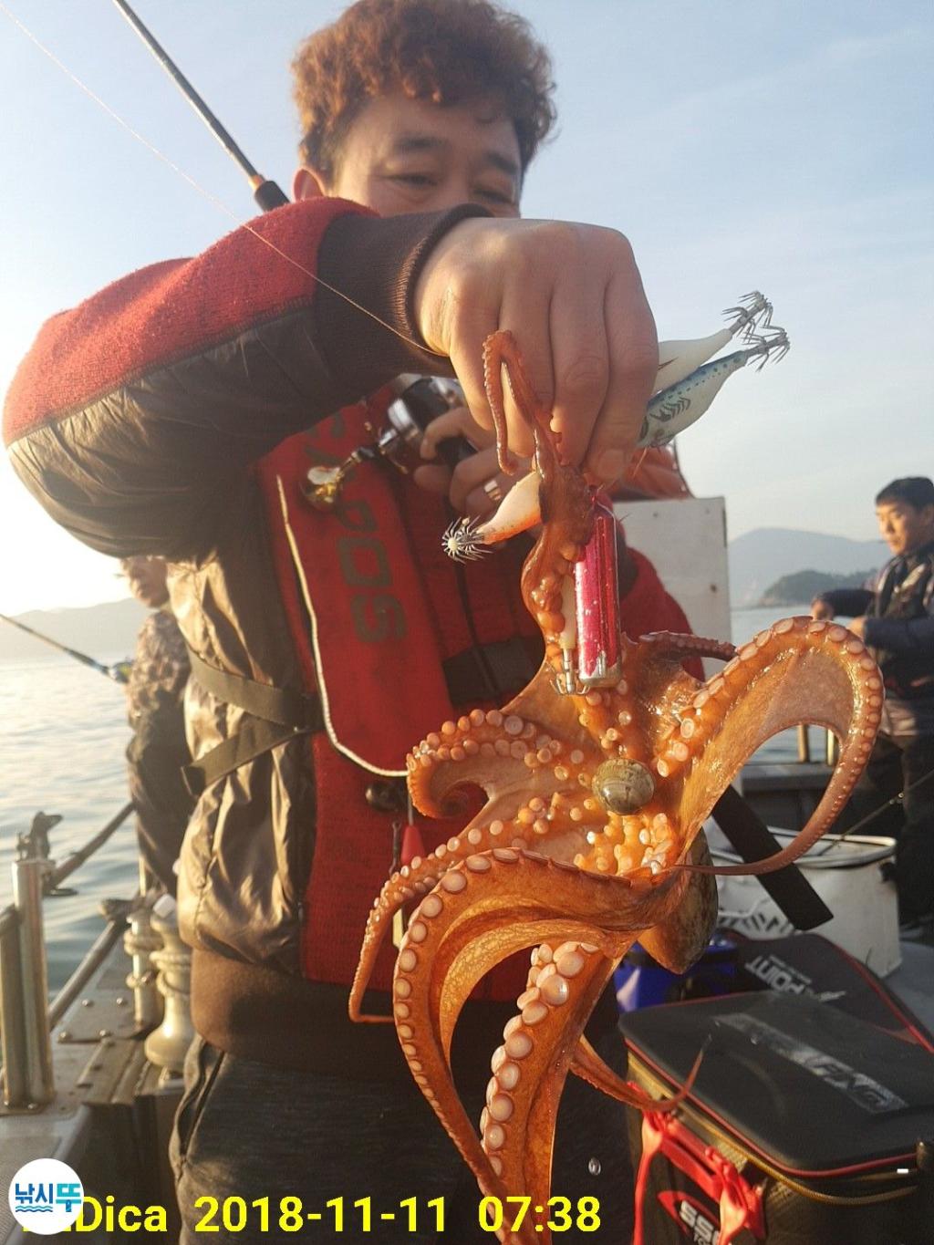 낚시뚜,돌문어,진해 안골항,제일호,낚시뚜3