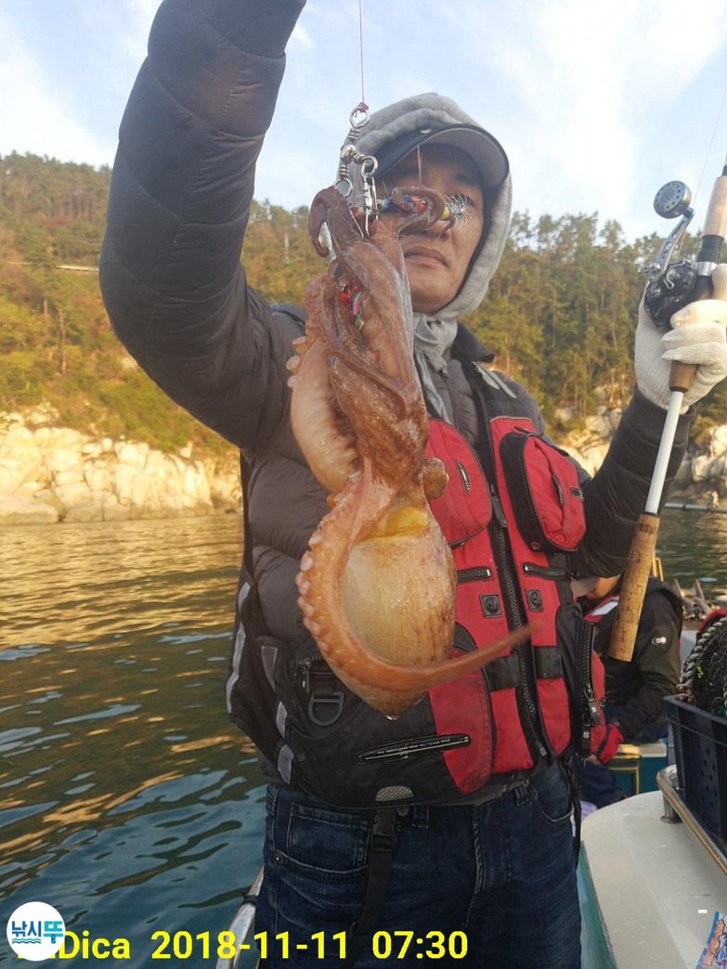 낚시뚜,돌문어,진해 안골항,제일호,낚시뚜1