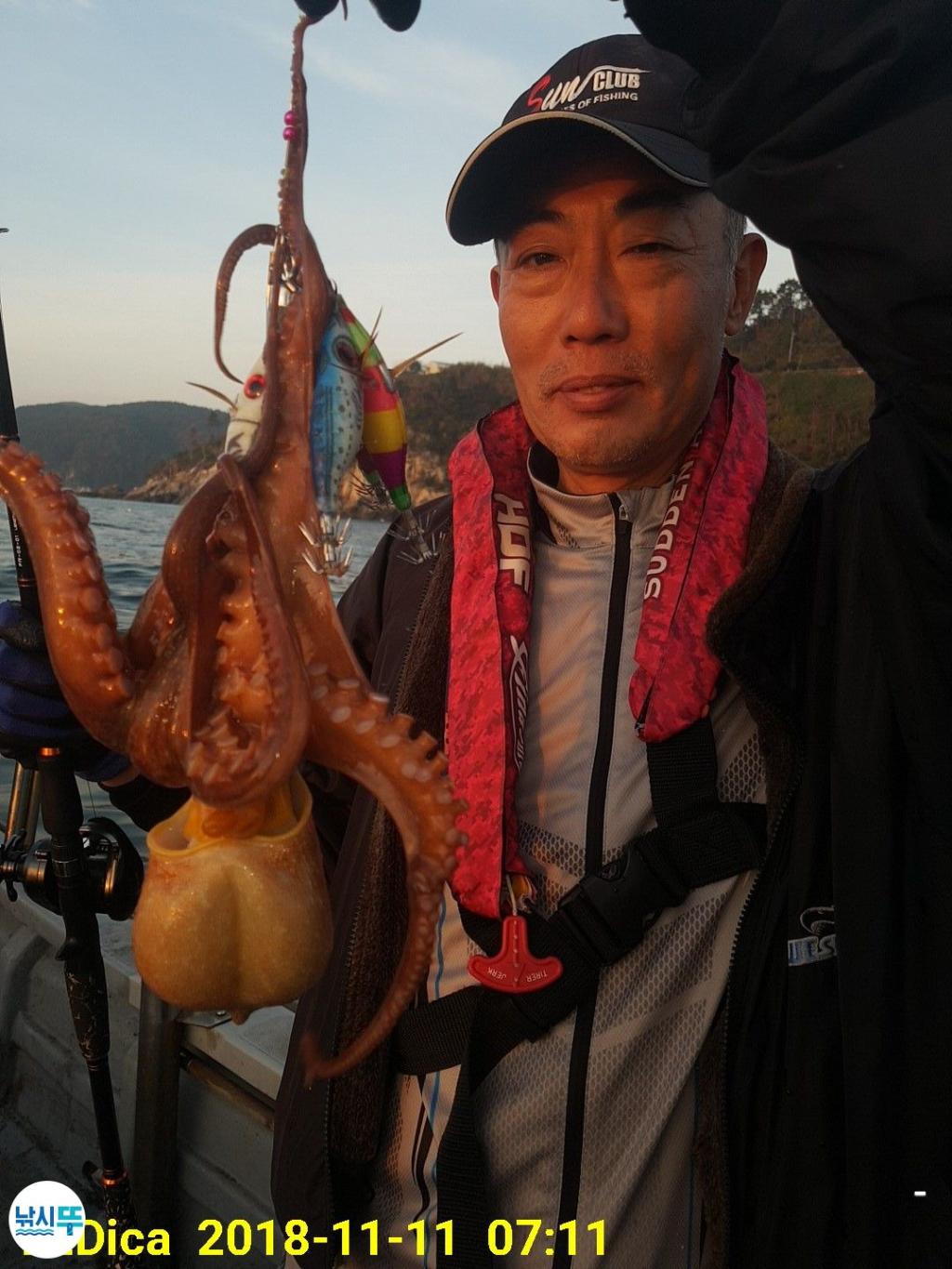 낚시뚜,돌문어,진해 안골항,제일호,낚시뚜0