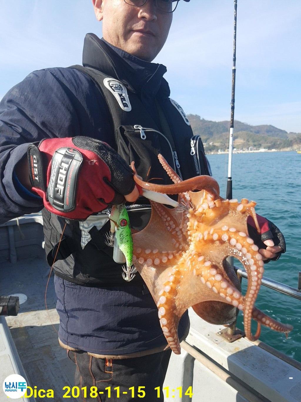 낚시뚜,돌문어,진해 안골항,제일호,낚시뚜8