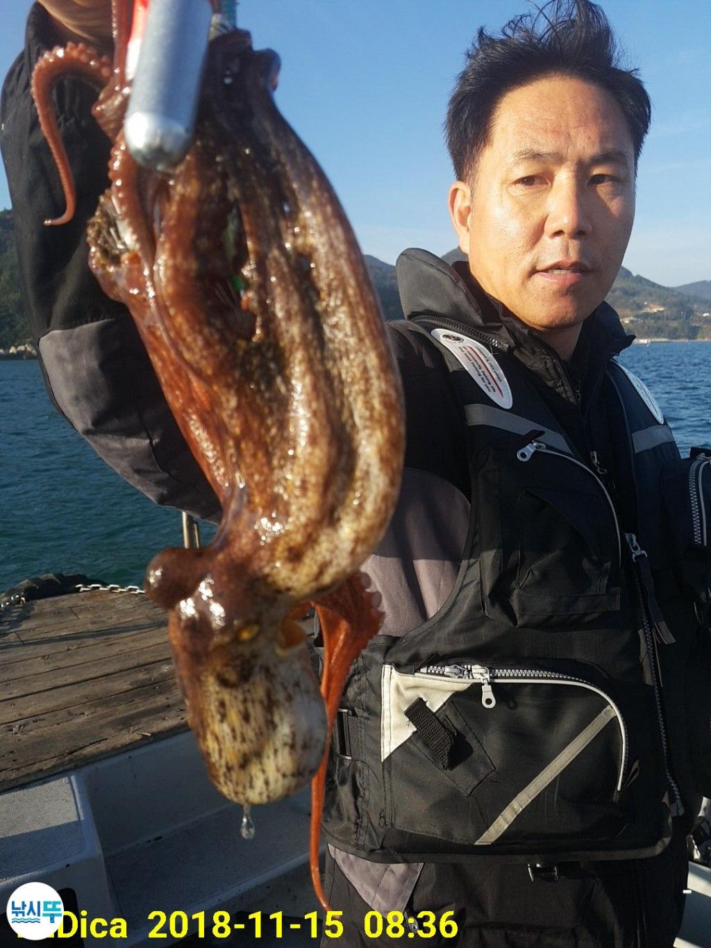 낚시뚜,돌문어,진해 안골항,제일호,낚시뚜5