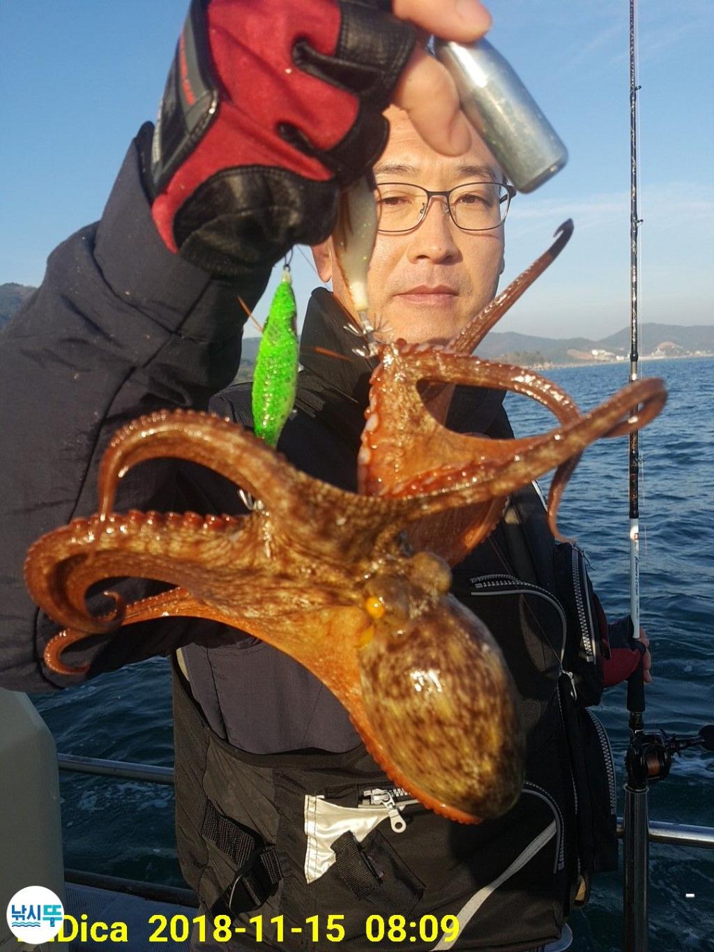 낚시뚜,돌문어,진해 안골항,제일호,낚시뚜4