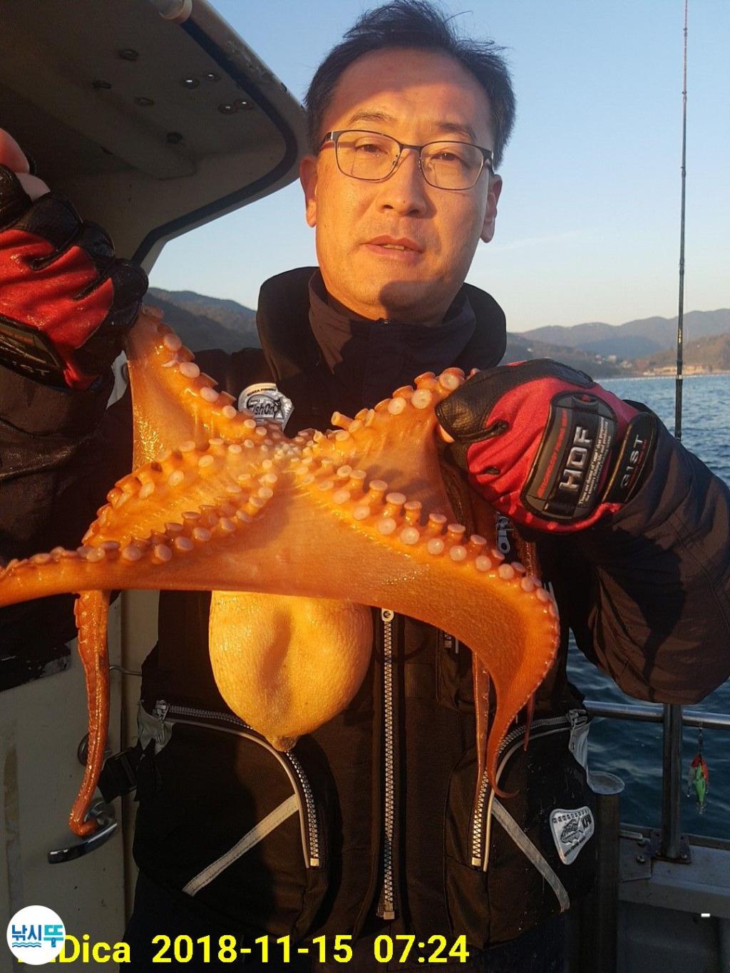 낚시뚜,돌문어,진해 안골항,제일호,낚시뚜0