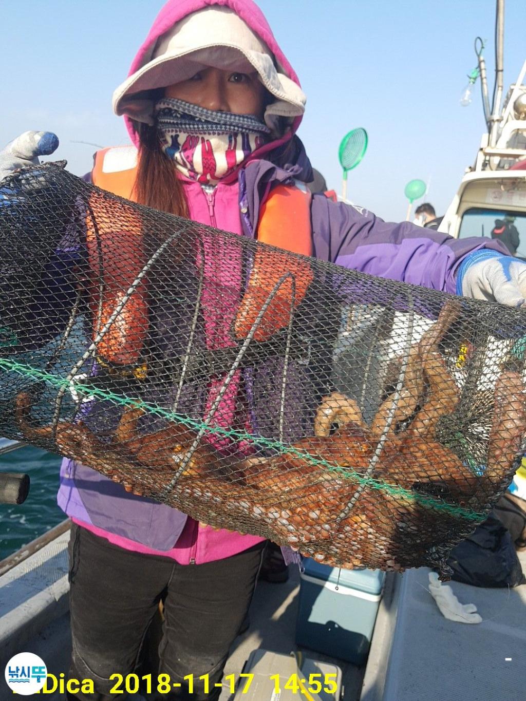 낚시뚜,돌문어,진해 안골항,제일호,낚시뚜17