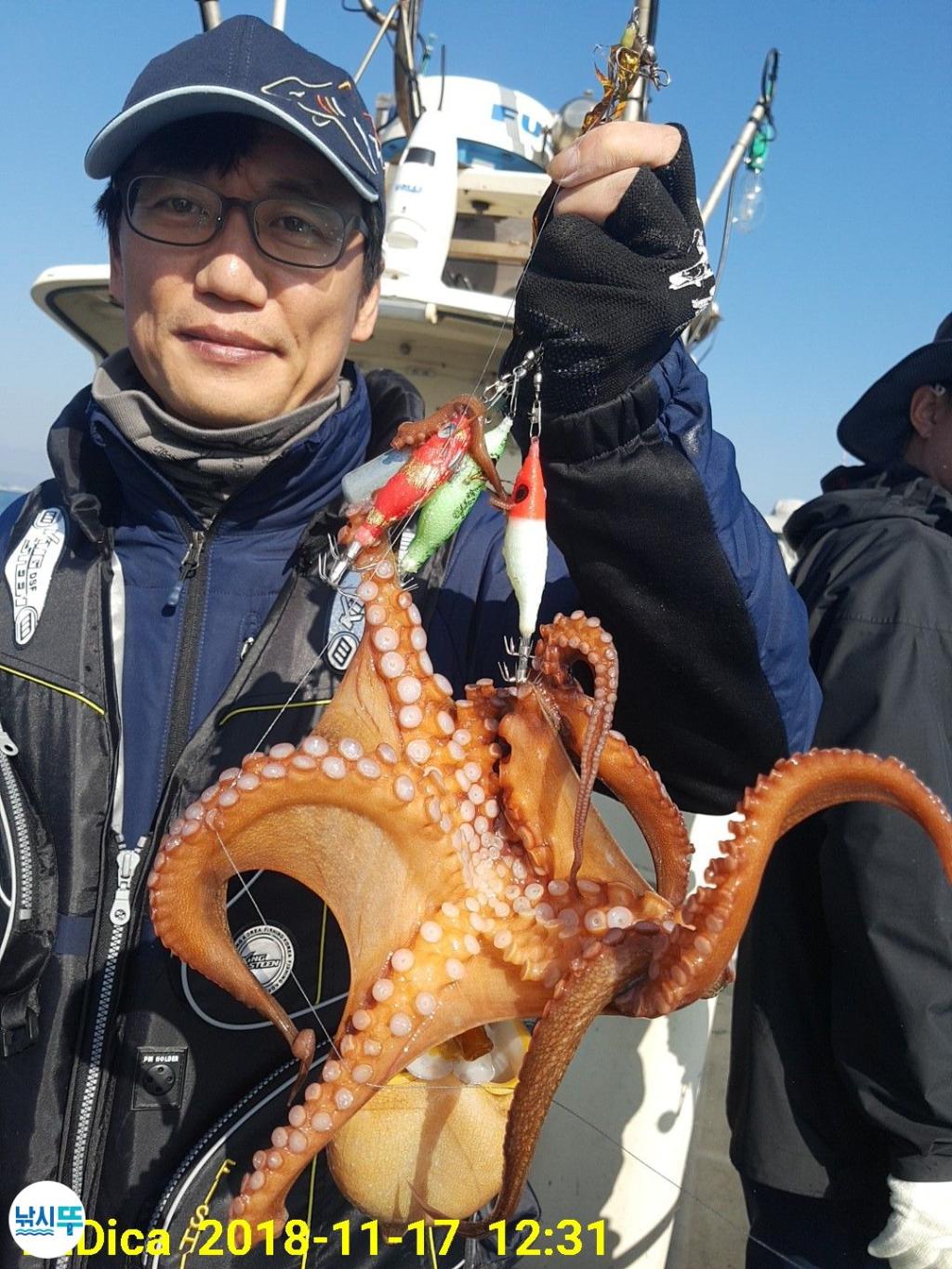 낚시뚜,돌문어,진해 안골항,제일호,낚시뚜16