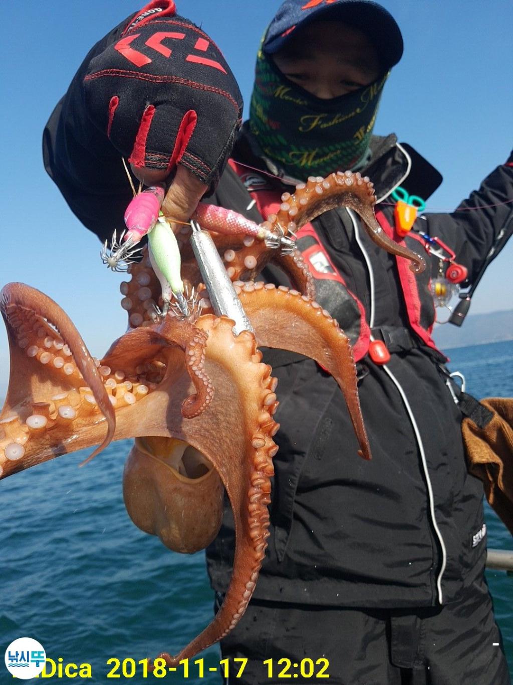 낚시뚜,돌문어,진해 안골항,제일호,낚시뚜15
