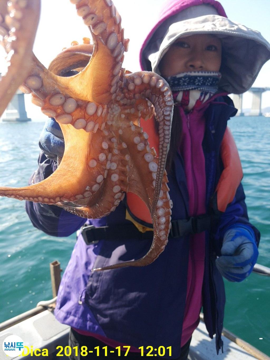 낚시뚜,돌문어,진해 안골항,제일호,낚시뚜14