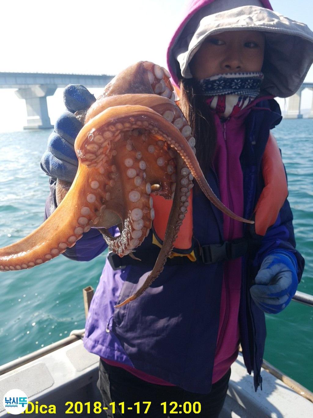 낚시뚜,돌문어,진해 안골항,제일호,낚시뚜13