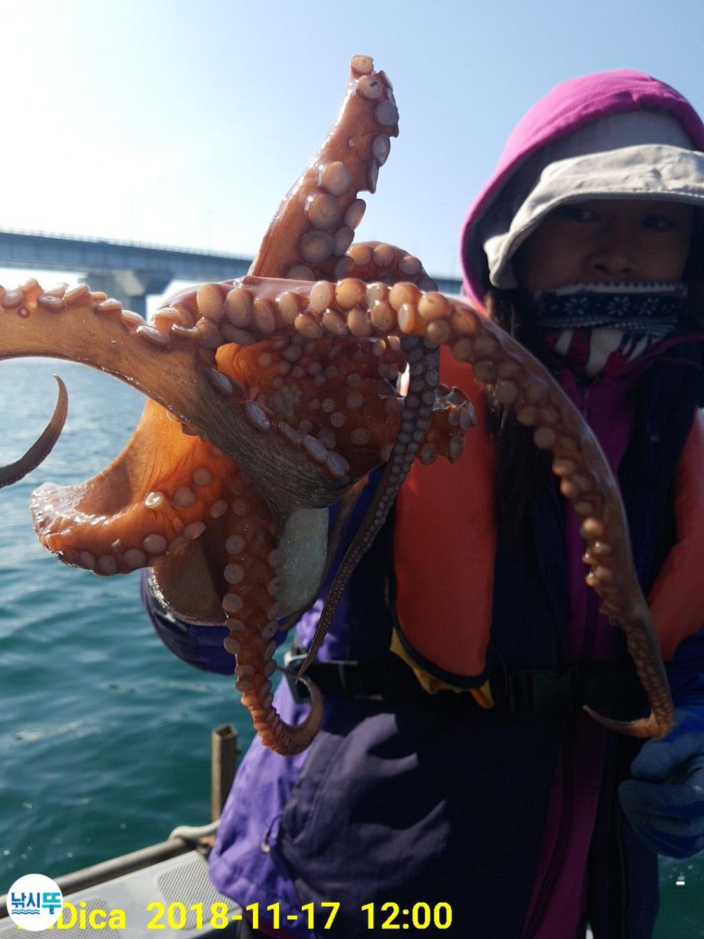 낚시뚜,돌문어,진해 안골항,제일호,낚시뚜12