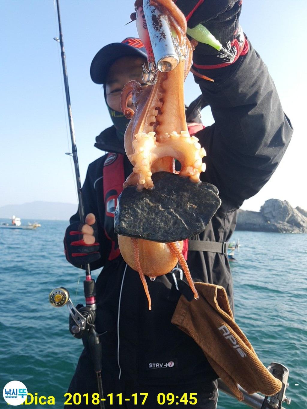 낚시뚜,돌문어,진해 안골항,제일호,낚시뚜10