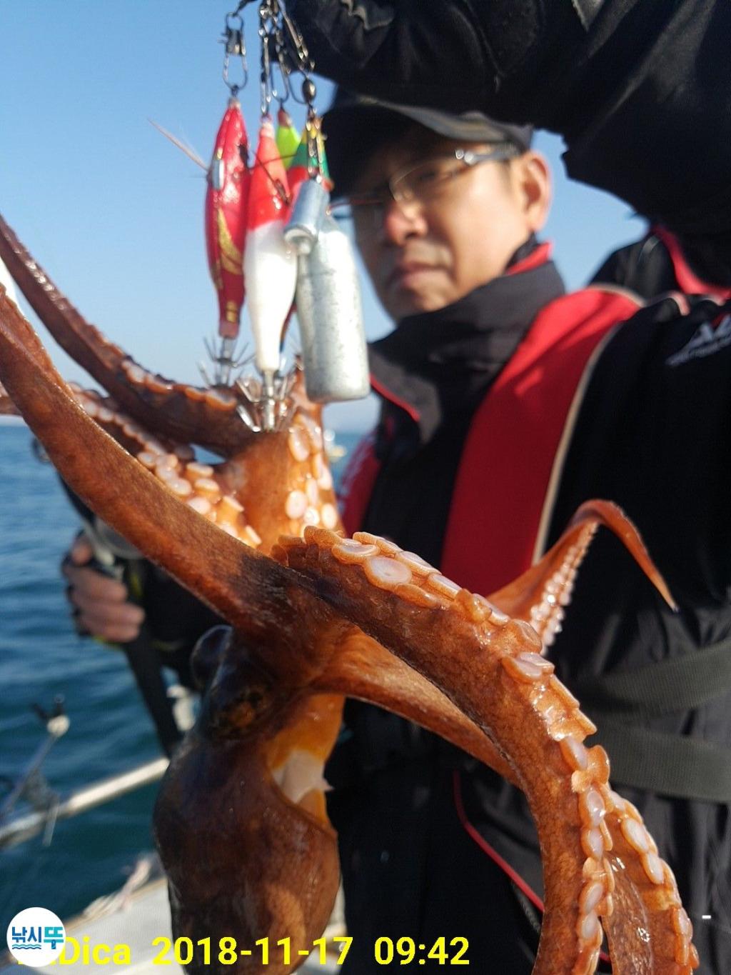 낚시뚜,돌문어,진해 안골항,제일호,낚시뚜9