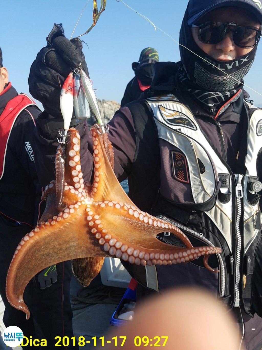 낚시뚜,돌문어,진해 안골항,제일호,낚시뚜7