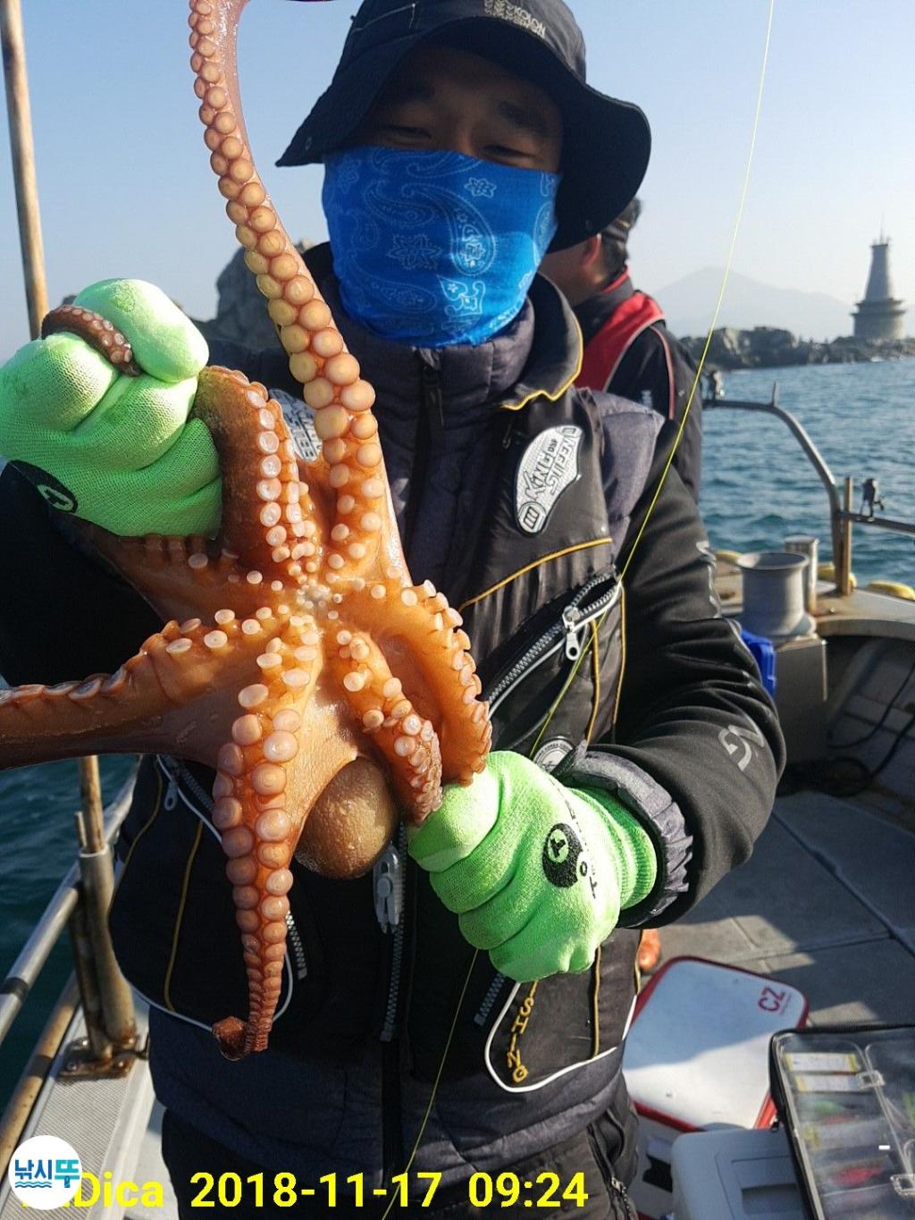 낚시뚜,돌문어,진해 안골항,제일호,낚시뚜6