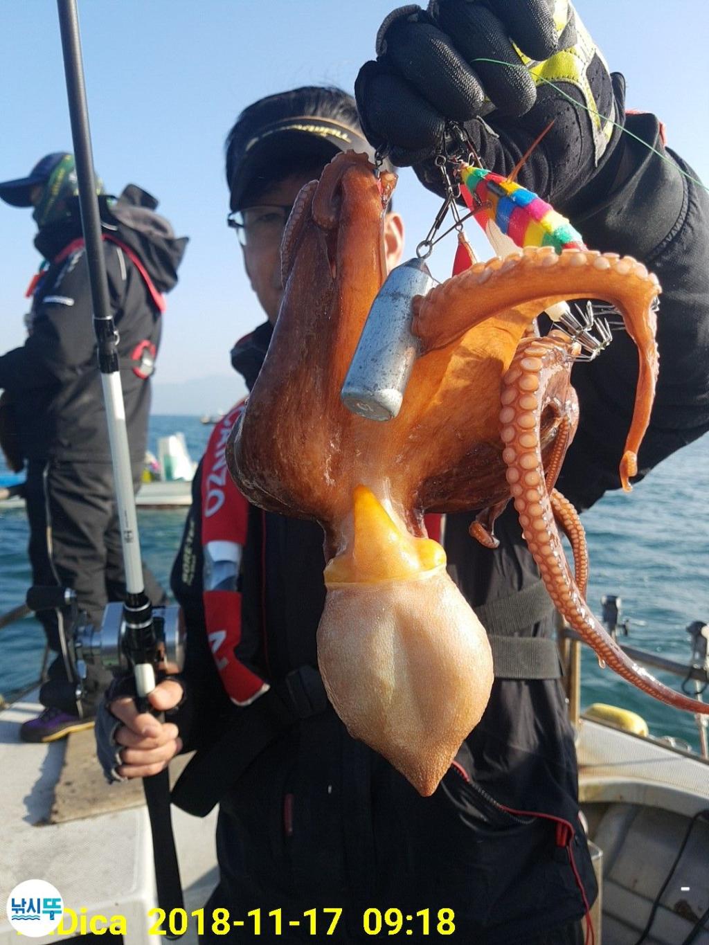 낚시뚜,돌문어,진해 안골항,제일호,낚시뚜4