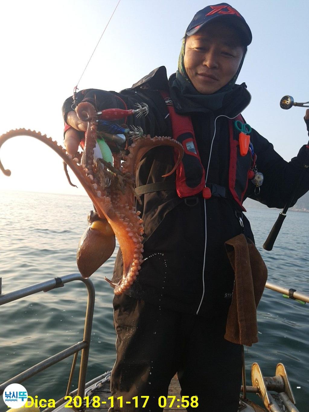 낚시뚜,돌문어,진해 안골항,제일호,낚시뚜3