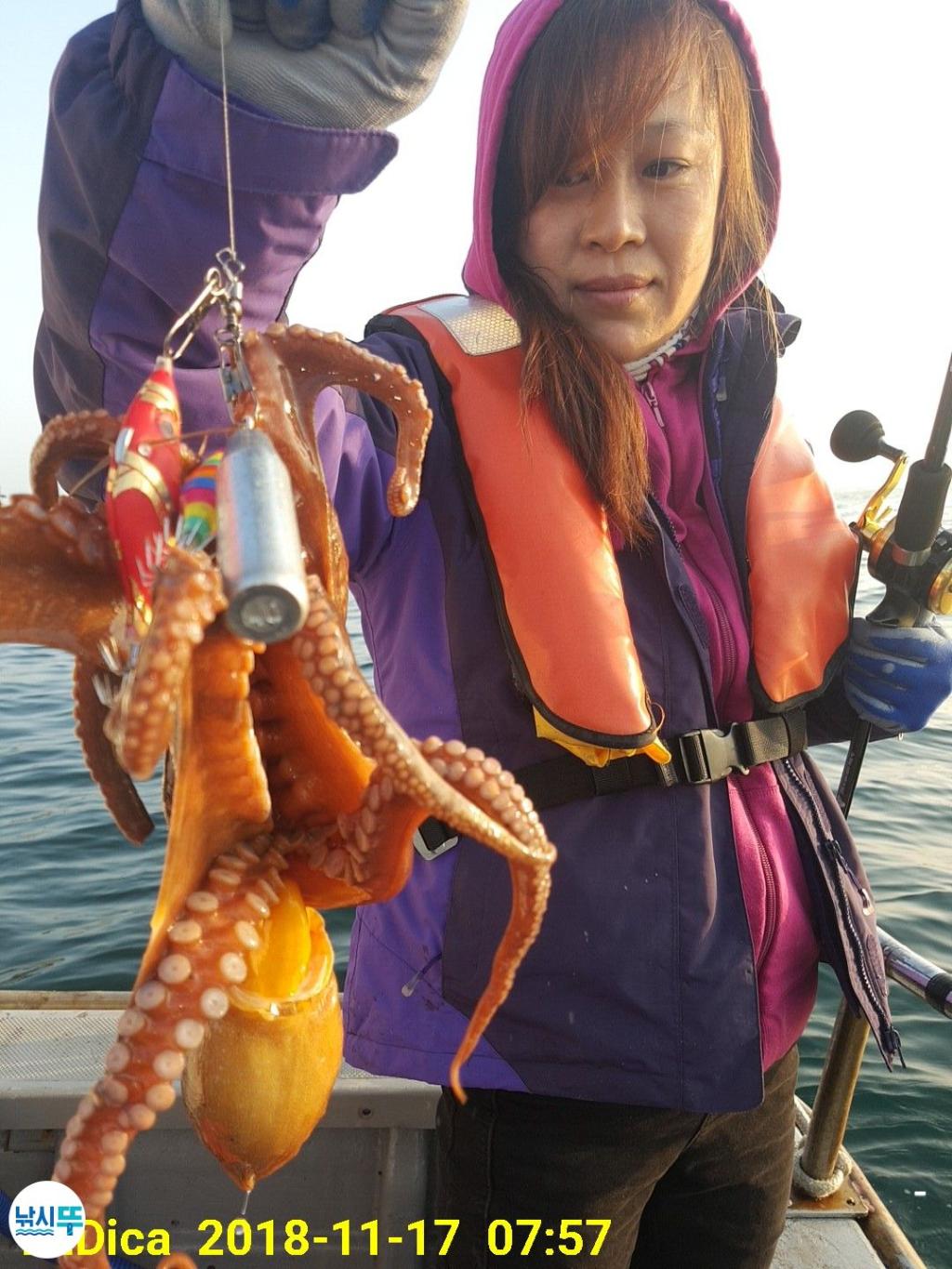 낚시뚜,돌문어,진해 안골항,제일호,낚시뚜2