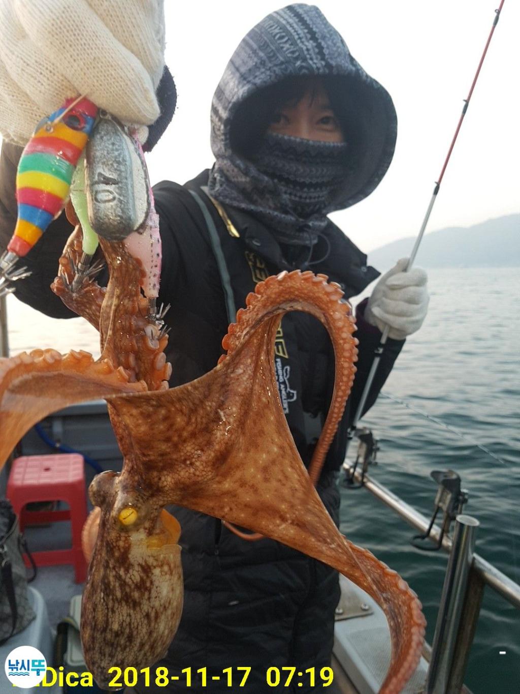 낚시뚜,돌문어,진해 안골항,제일호,낚시뚜0
